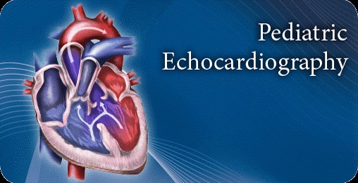 Pediatric Echocardiography in Infants and Children