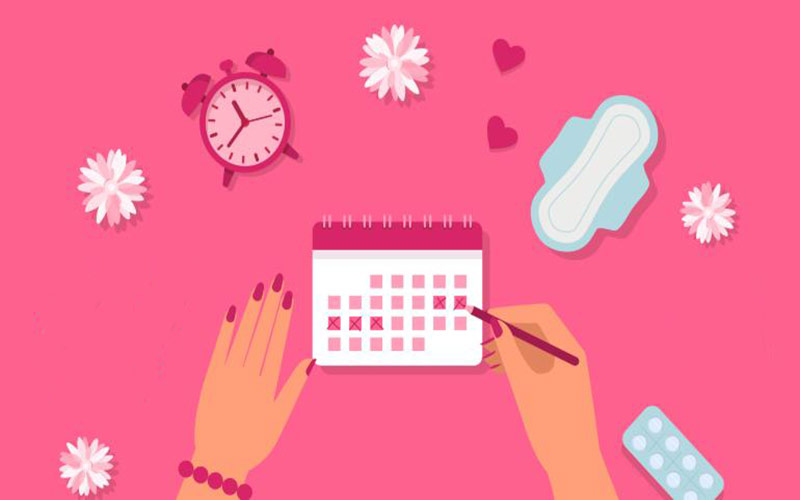 Track Your Menstrual Cycle